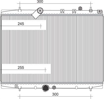 MAGNETI MARELLI radiatorius, variklio aušinimas 350213986000